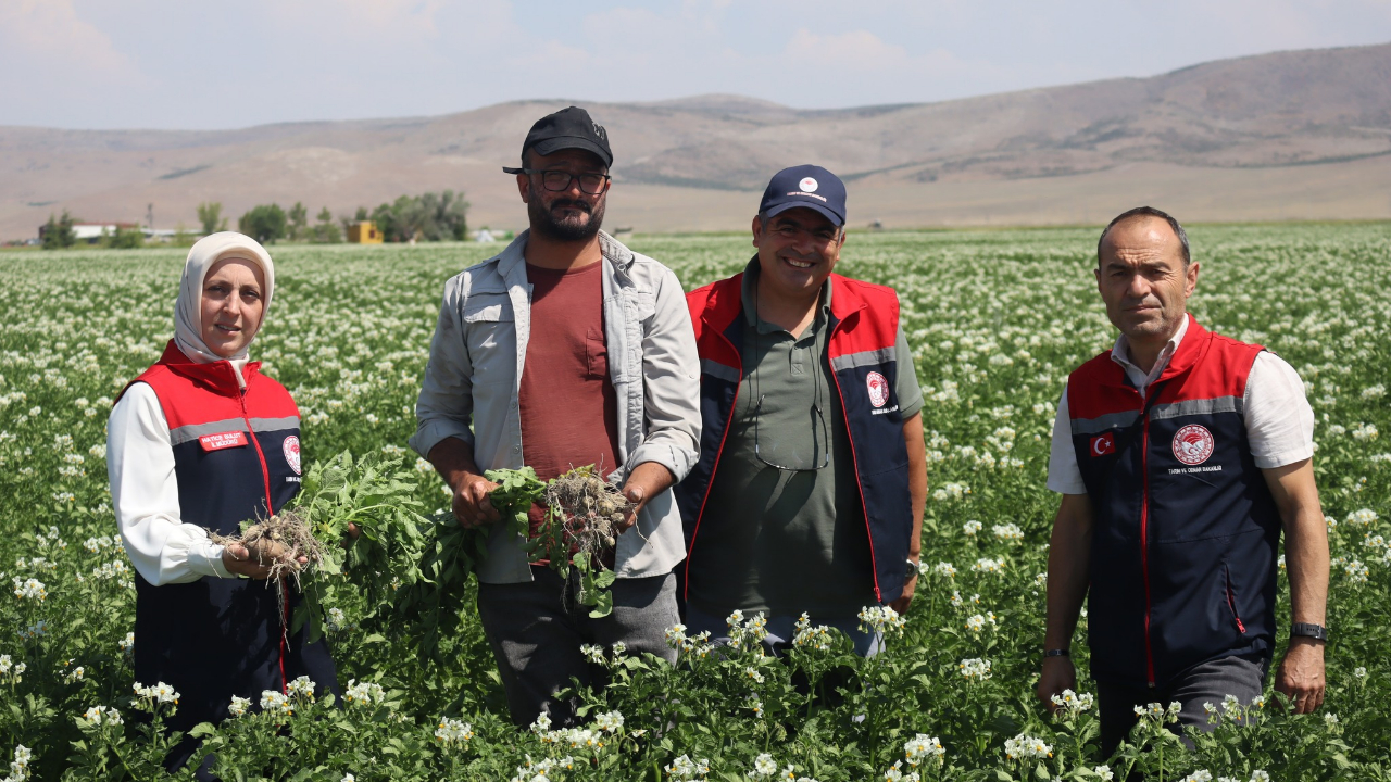 Karaman, Patates üretiminde marka olma yolunda ilerliyor