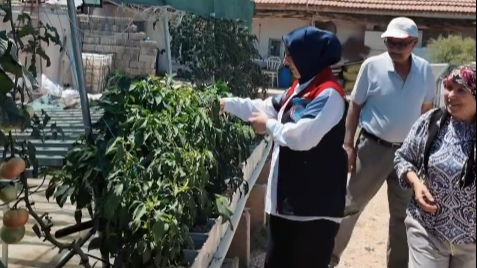 Kendi kurduğu serasında topraksız tarım yapıyor