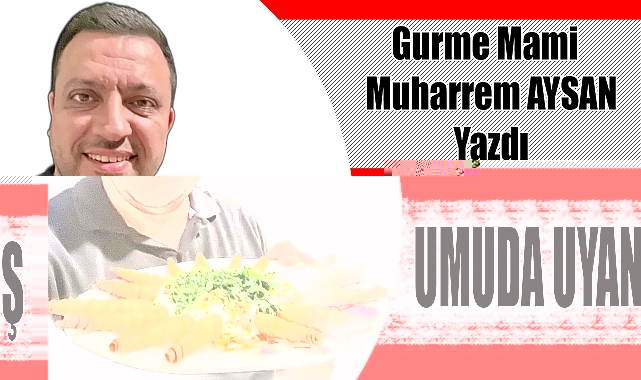 UMUDA UYANIŞ