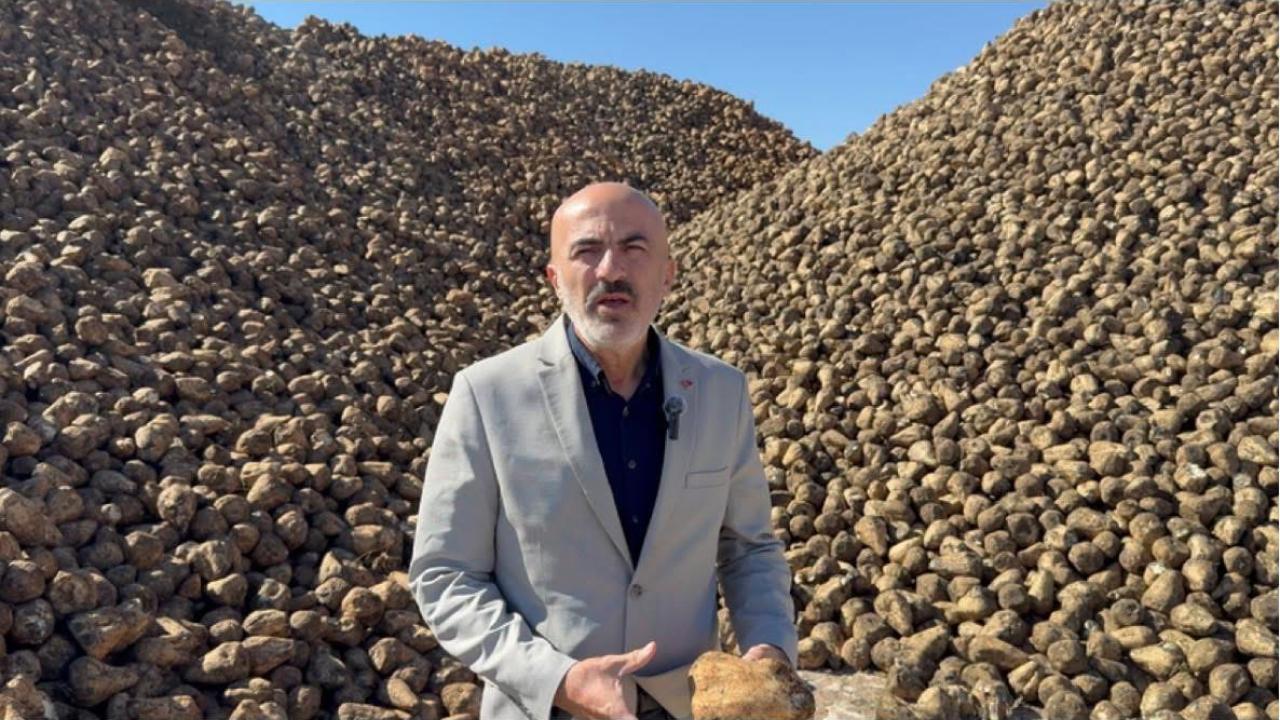 Pancar sezonu yine sorunlarla başladı