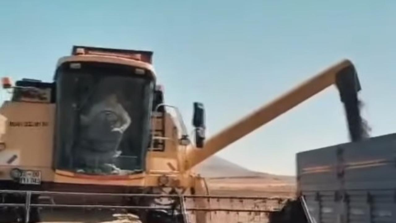 Otomatik Taslak