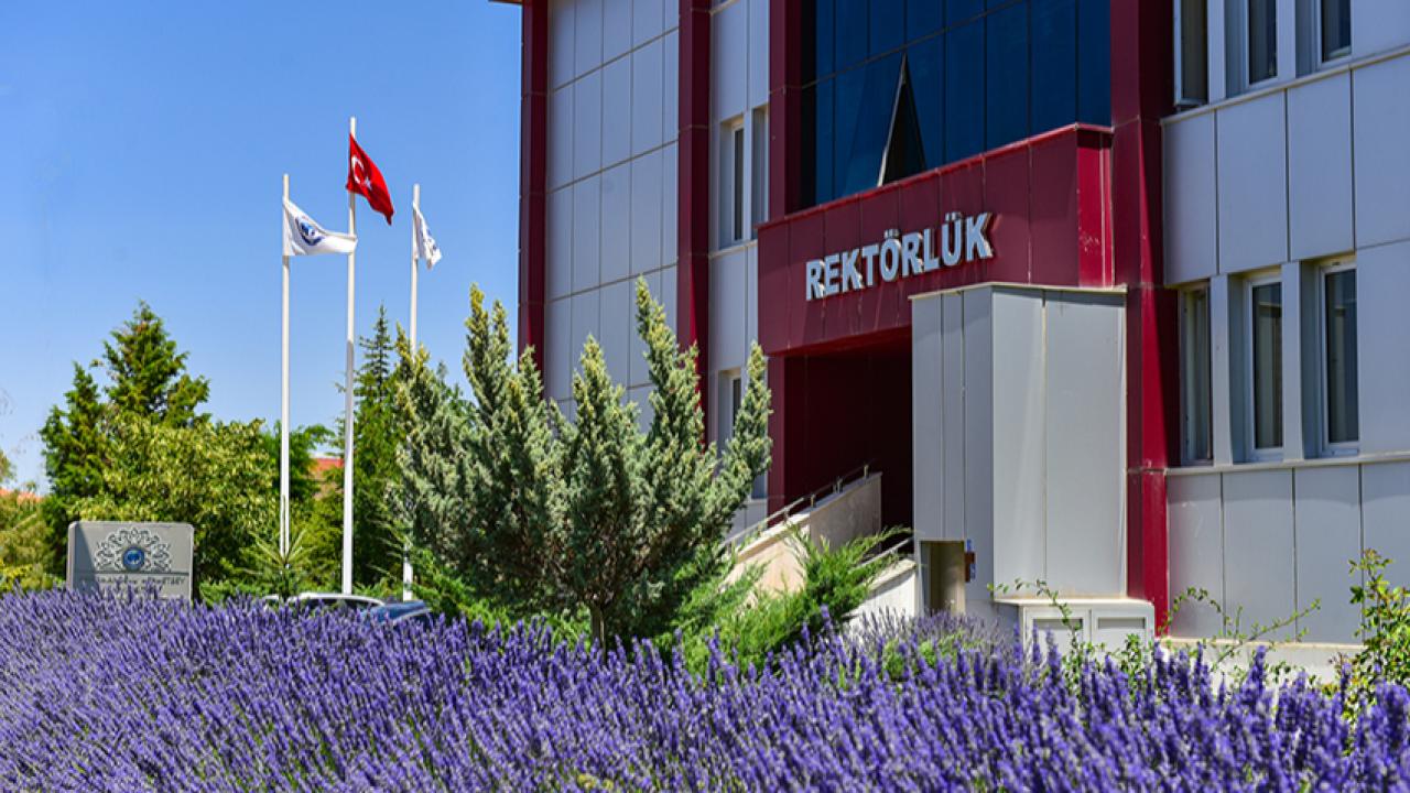 Otomatik Taslak