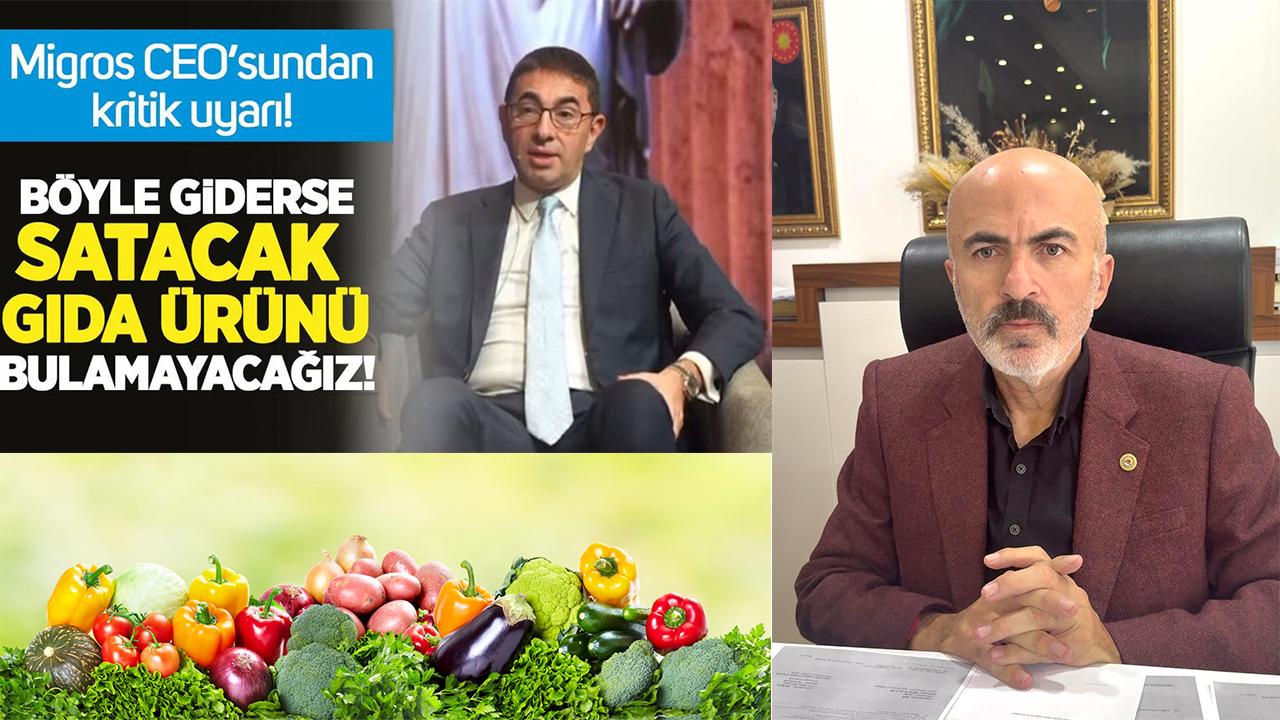 Otomatik Taslak