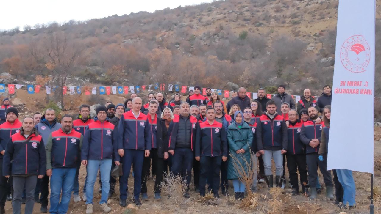Otomatik Taslak