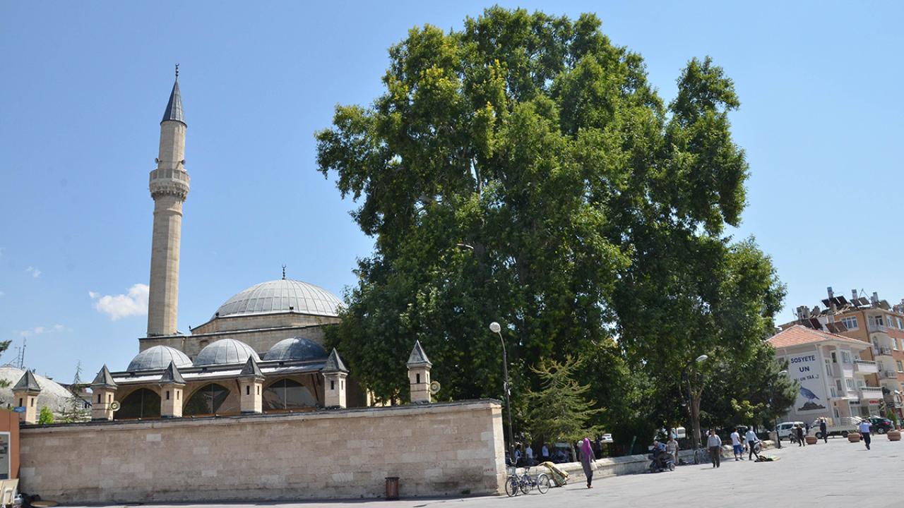 Otomatik Taslak