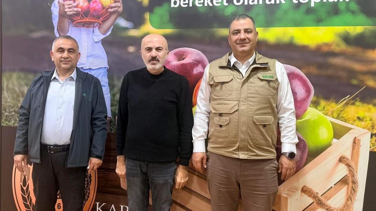 Otomatik Taslak