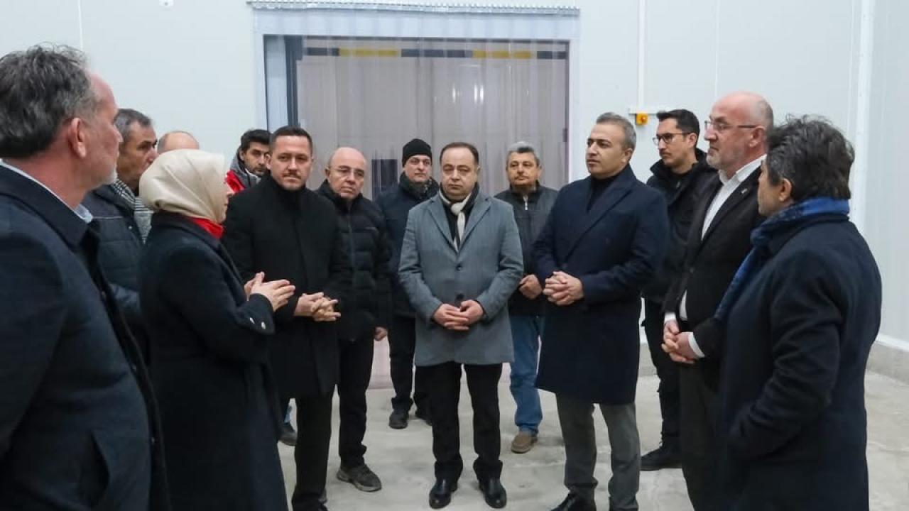 Otomatik Taslak