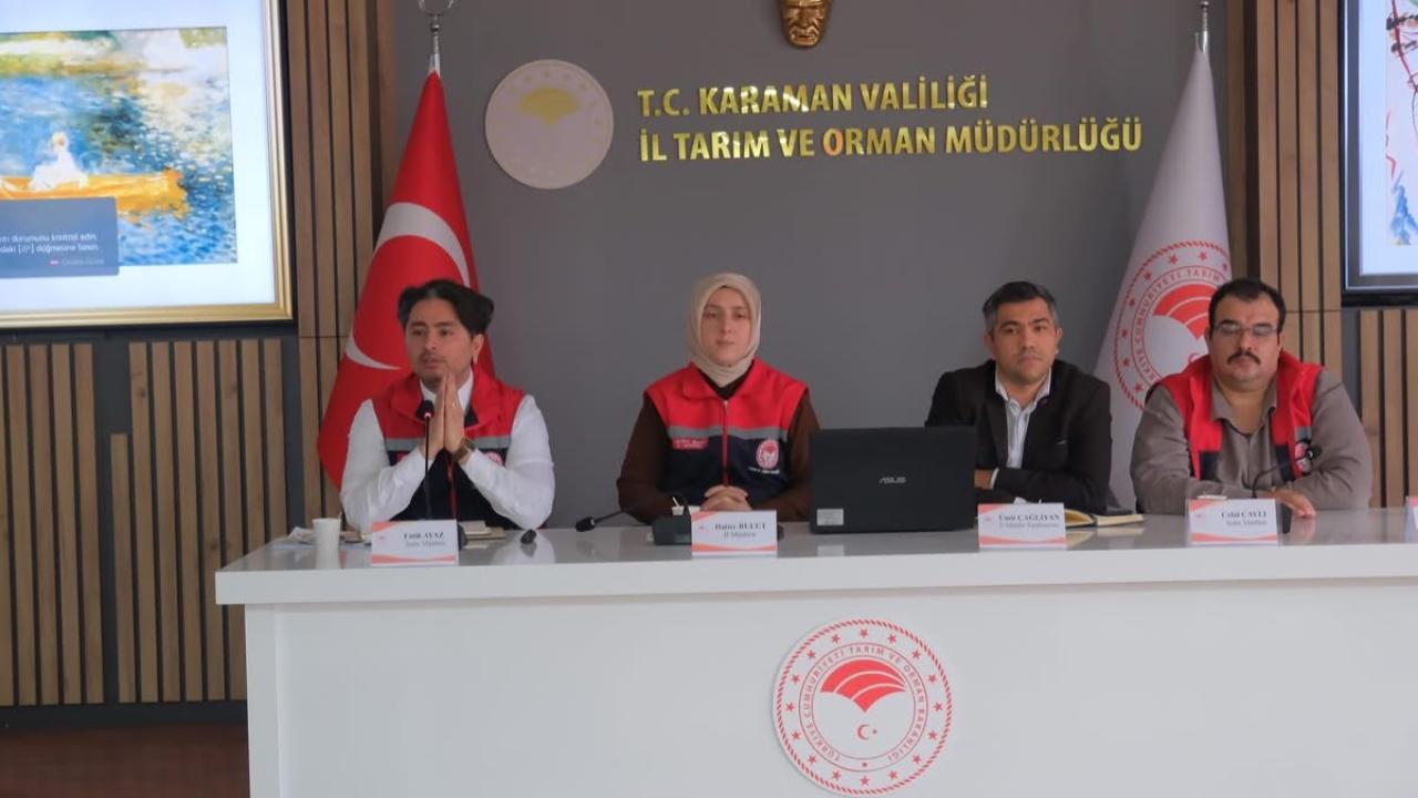 Otomatik Taslak