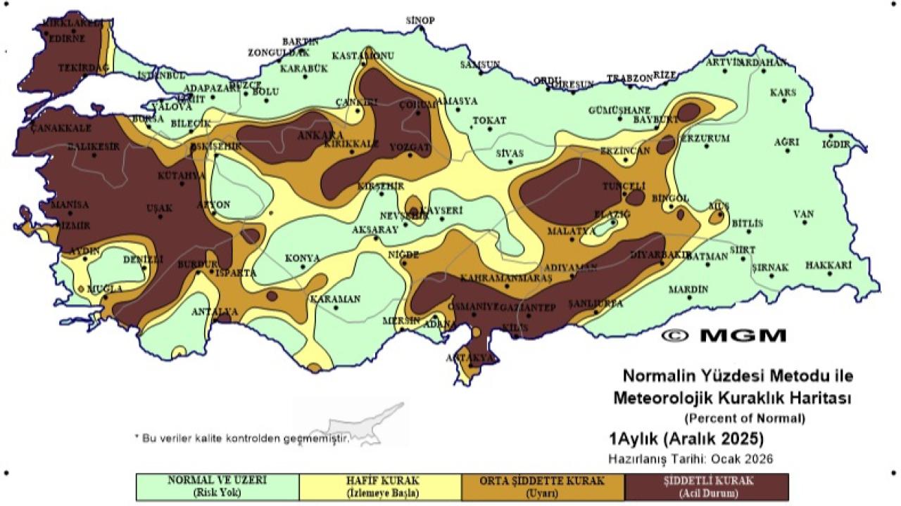 Otomatik Taslak