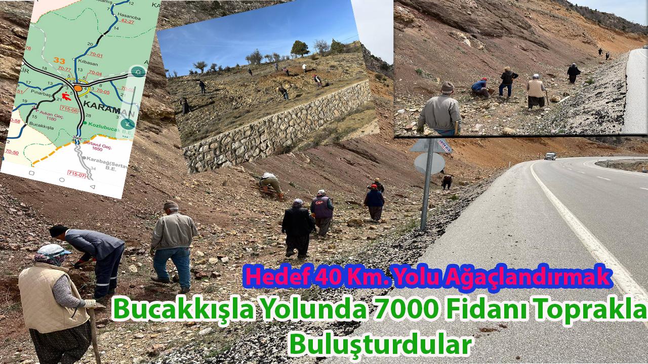 Bucakkışla Yolunda7000 Fidanı Toprakla Buluşturdular