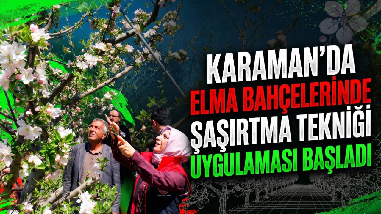Karaman'da Elma Bahçelerinde Şaşırtma Tekniği Uygulaması Başladı
