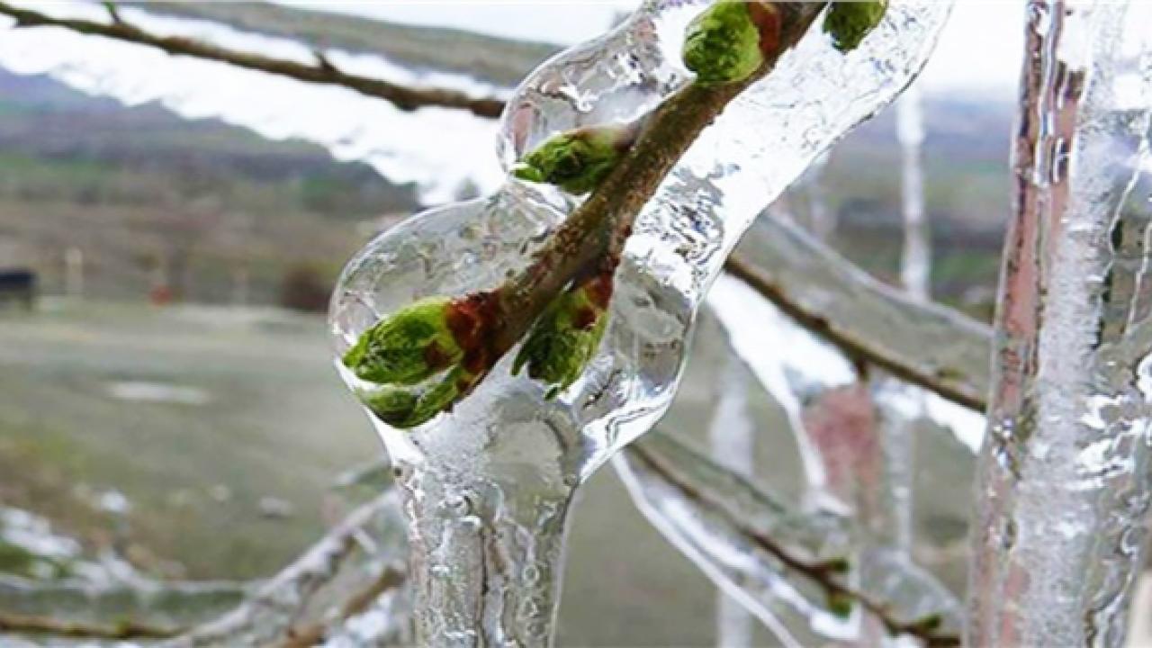 Meteorolojiden Karaman'a Kötü Haber! Zirai Don Bekleniyor