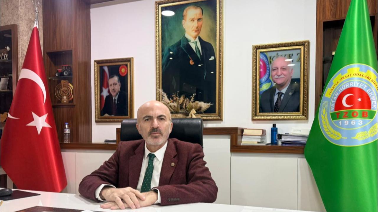 Otomatik Taslak