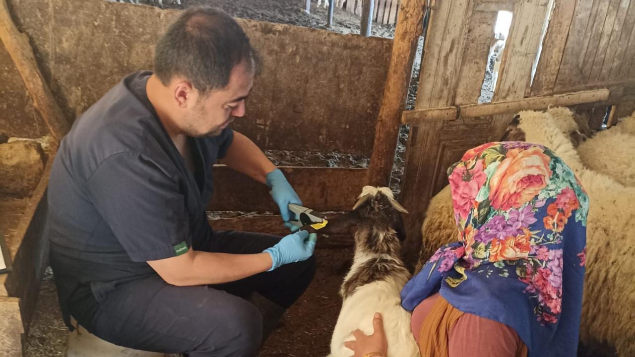 Başyayla İlçesinde Saha Çalışmaları Sürdürüyor