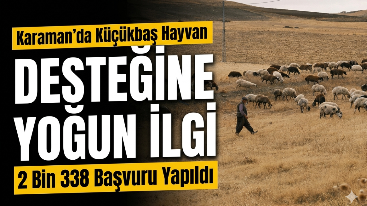 Karaman’da Küçükbaş Hayvan Desteğine Yoğun İlgi: 2 Bin 338 Başvuru Yapıldı