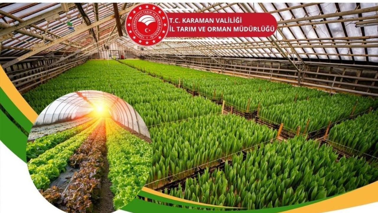 Kırsal Kalkınma Destekleriyle Modern Sera ve Dikey Tarım Yatırımlarına Büyük Destek