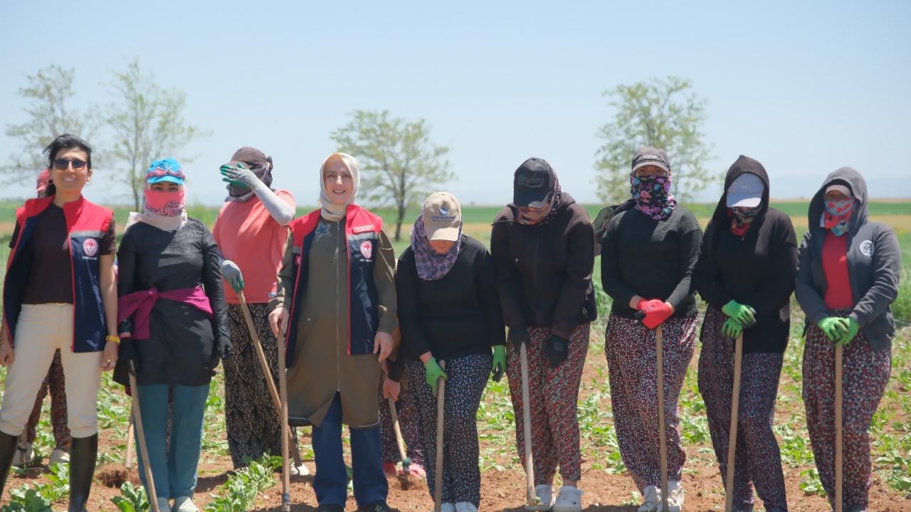 Tarım İşçilerine Saha Ziyareti