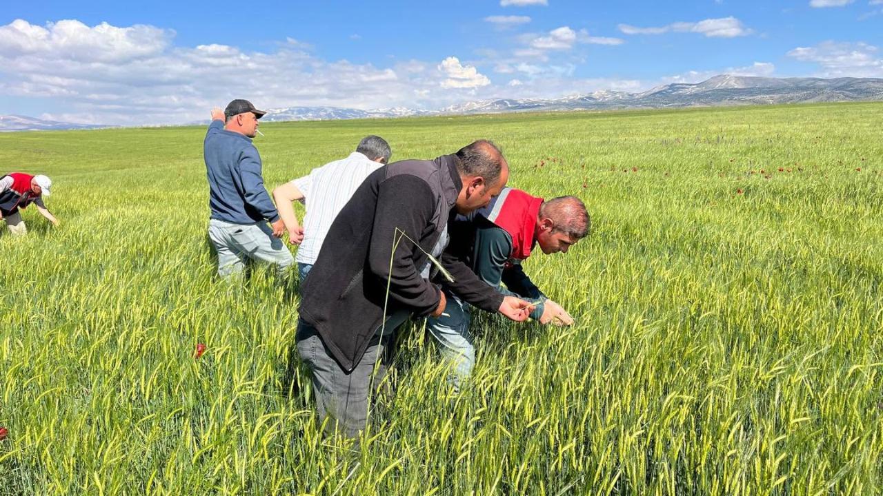 Ayrancı’da Dolu ve Selden Etkilenen Tarım Arazilerinde İnceleme