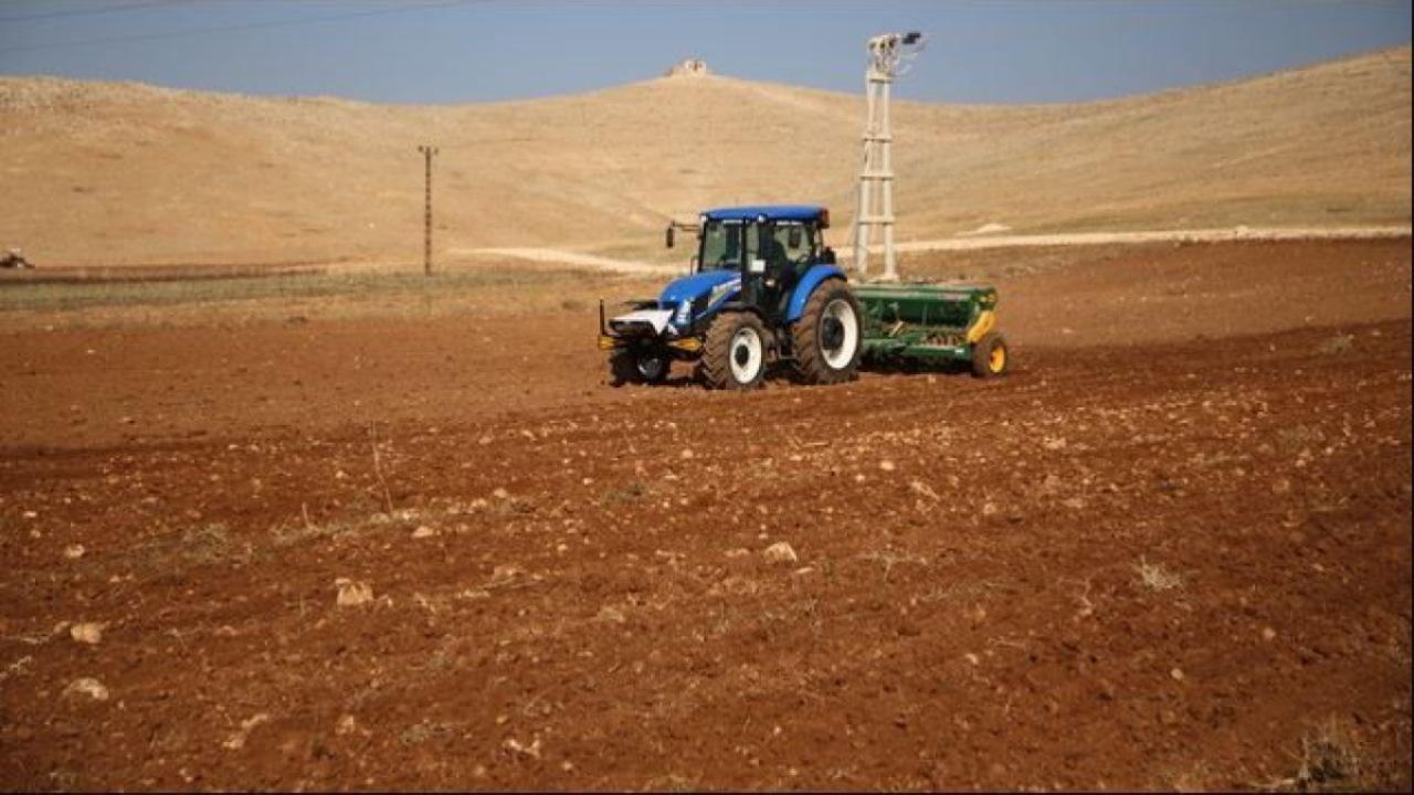 Otomatik Taslak