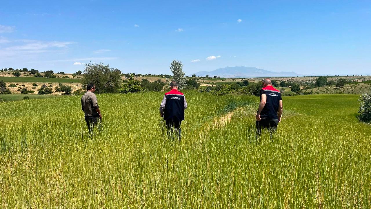 Erenkavak, Morcalı ve Boyalı Köylerinde Dolu Zararı Hasar Tespiti Yapıldı
