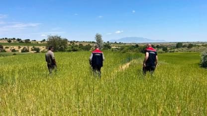 Erenkavak, Morcalı ve Boyalı Köylerinde Dolu Zararı Hasar Tespiti Yapıldı