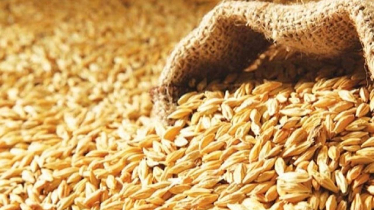 Karaman Ticaret Borsası'nda 2026 Yılının İlk Mahsul Arpa Satışı Yapılacak
