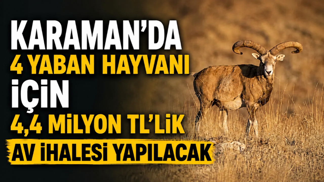 Karaman'da 4 Yaban Hayvanı İçin 4,4 Milyon TL’lik Av İhalesi Yapılacak