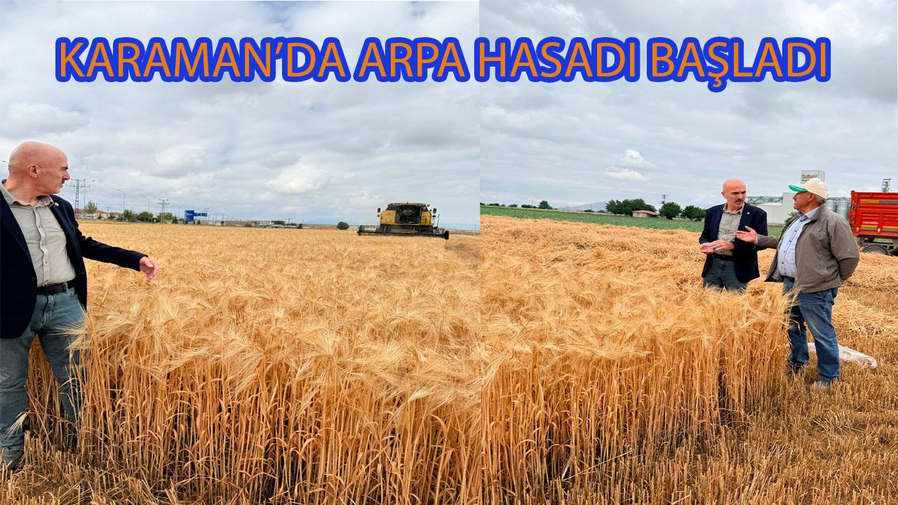 Karaman'da Arpa Hasadı Başladı