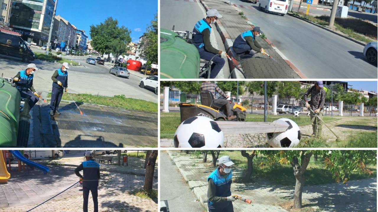 Karaman'da Yabani Otlarla Mücadele Başladı