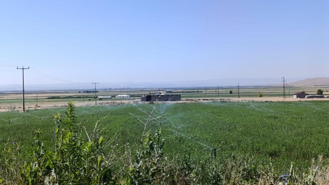 Karaman'da Yem Bitkisi Destekleme Alanlarında Kontroller Yapıldı