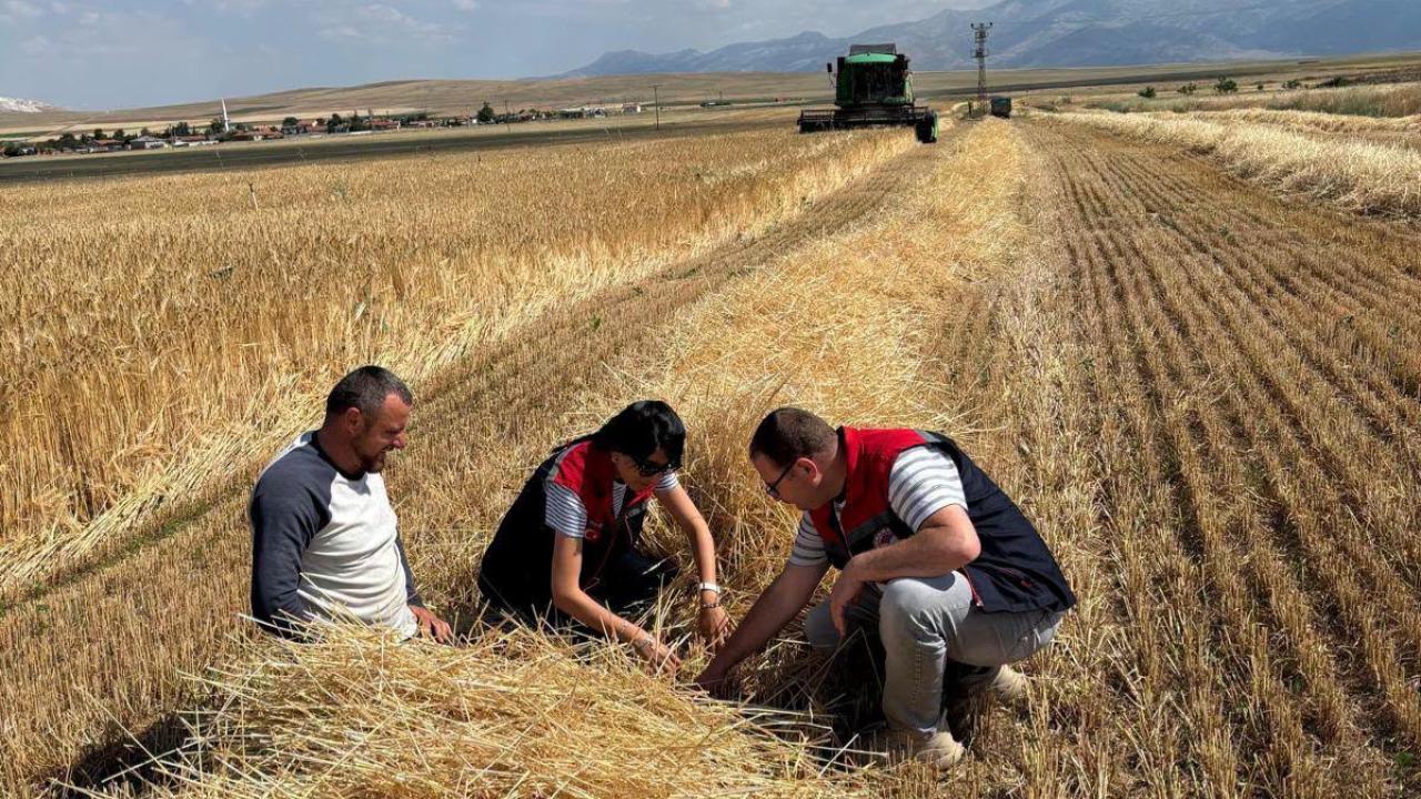 Kazımkarabekir’de Yılın İlk Hububat Hasadı Başladı