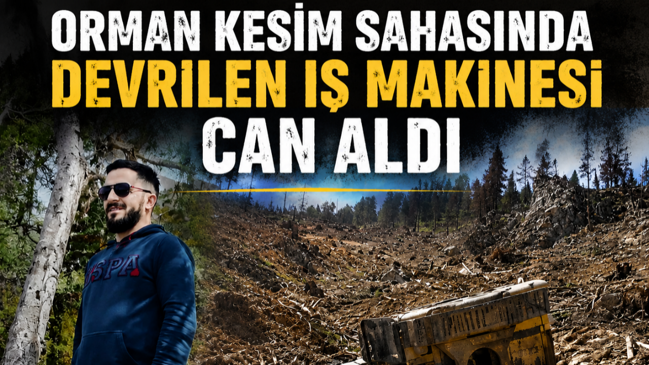 Orman Kesim Sahasında Devrilen İş Makinesi Can Aldı