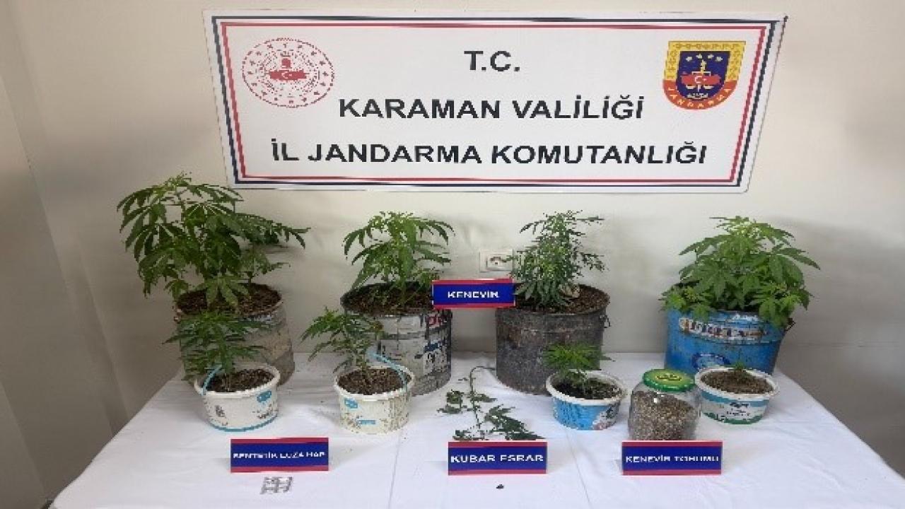 Otomatik Taslak
