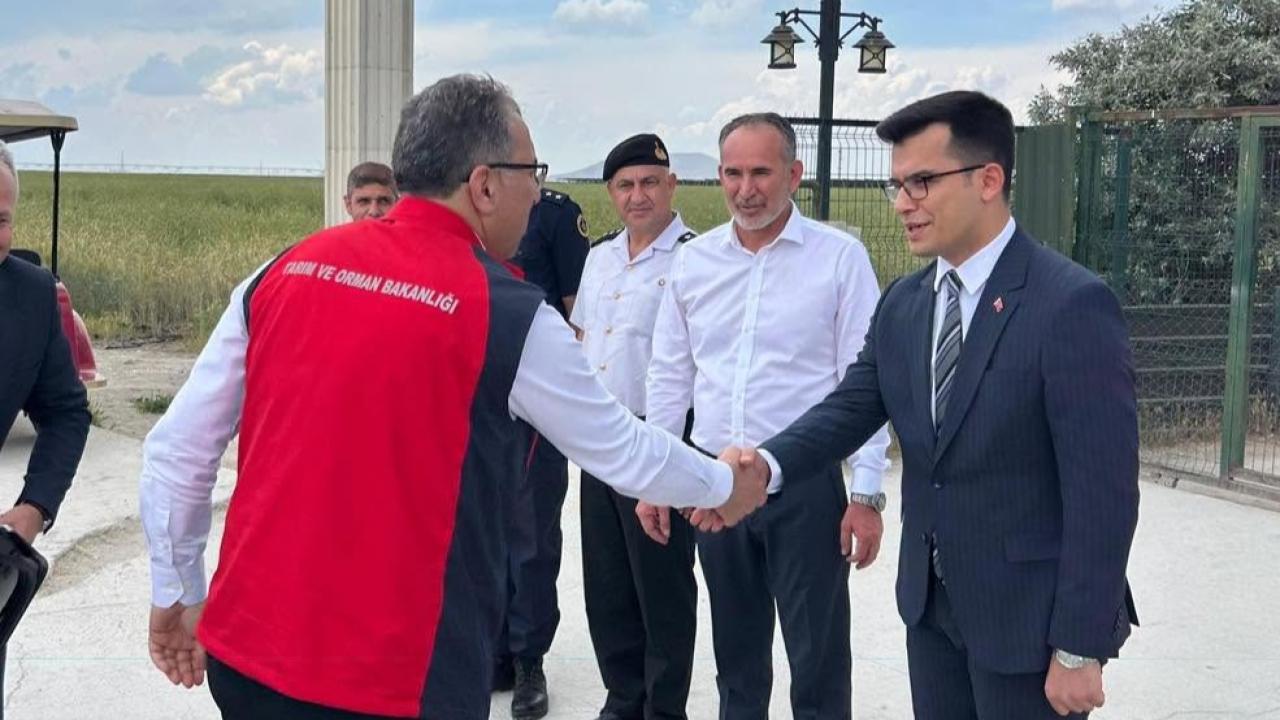 Tarım ve Orman Bakan Yardımcısı Ahmet Gümen’den Ayrancı’da Çiftlik Ziyareti