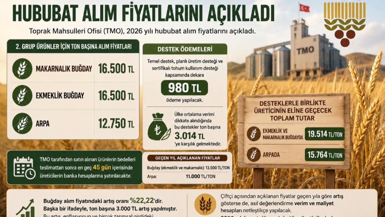 Otomatik Taslak