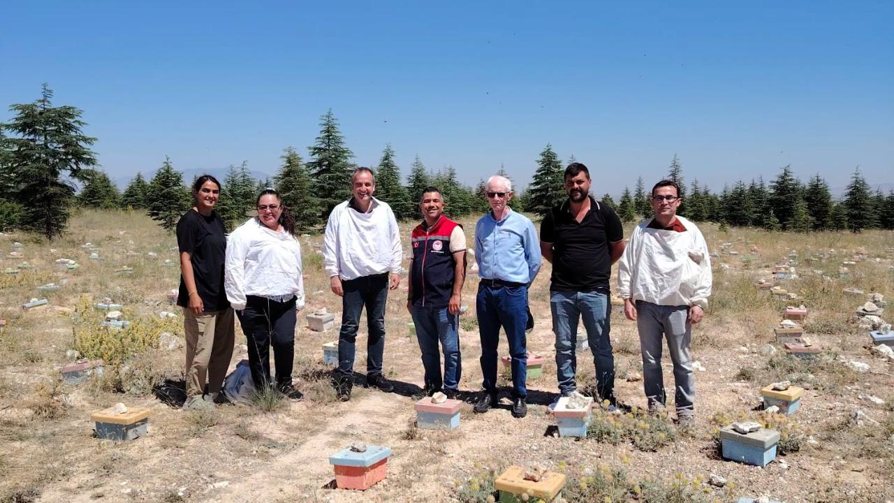 Arıcılıkta Üretim İzni Mesaisi: Karaman'da Ana Arı İşletmelerine Denetim