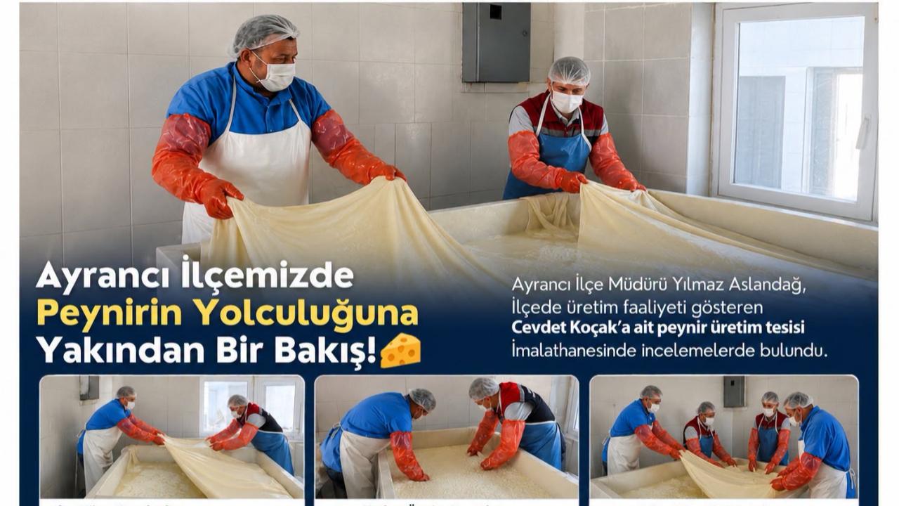 Ayrancı'da Peynir Üretim Tesisi Denetlendi