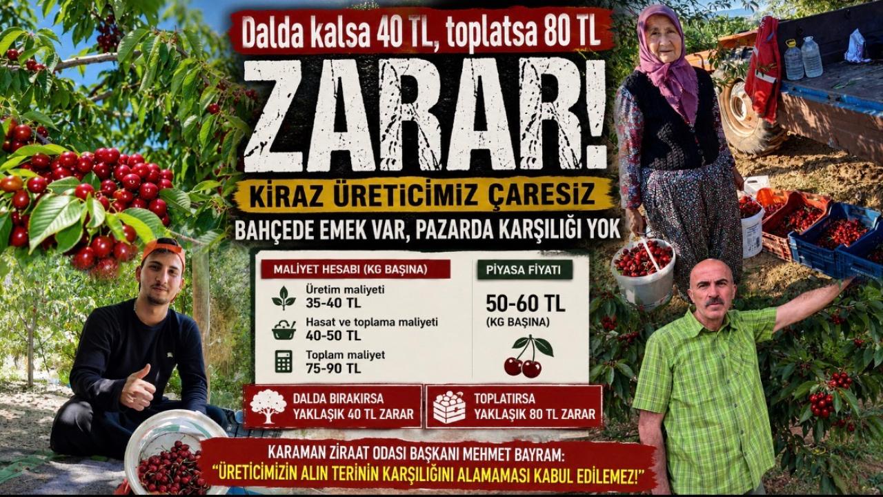 Otomatik Taslak