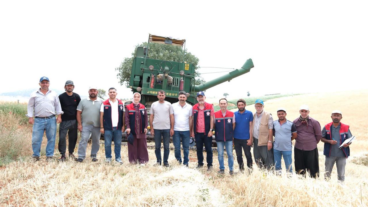 Hububat Hasadı Sürüyor: Üreticilere Kayıpsız Hasat Uyarısı