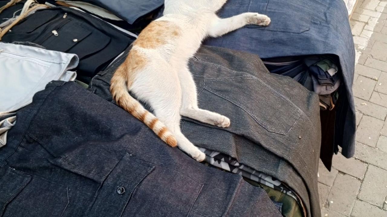 İKİNDİ UYKUSU!
