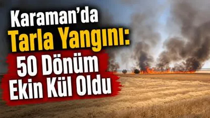Karaman'da Tarla Yangını: 50 Dönüm Ekin Kül Oldu
