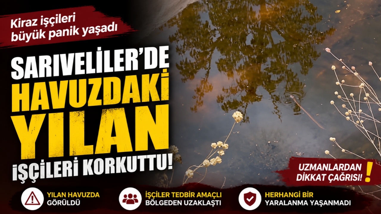 Sarıveliler'de Sulama Havuzunda Görülen Yılan Paniğe Neden Oldu